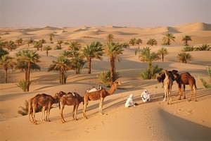 Mauritanie : un début d’activité prometteur pour le tourisme en Adrar