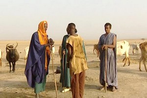 Affrontements tribaux au Mali : 30 morts