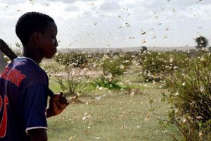  Mauritanie : les trois piliers de la régionalisation 