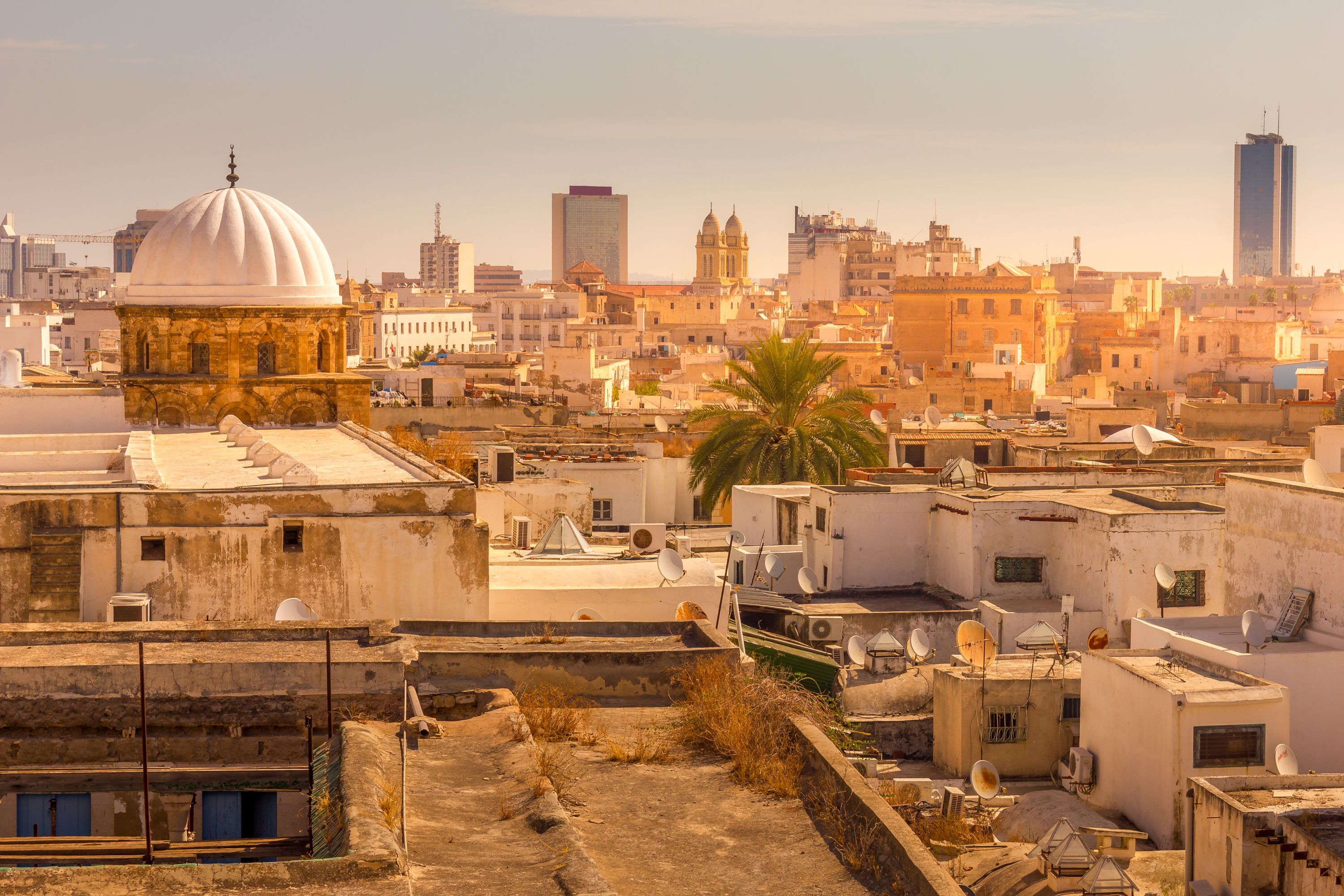Tunis : une famille mauritanienne agressée violemment par des jeunes Tunisiens
