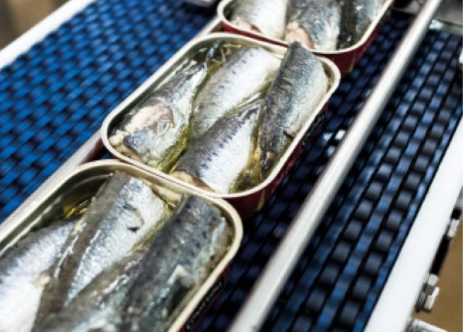 Une usine expérimentale pour les conserves de thon et de sardines: Bientôt sous le label «made in Mauritania»