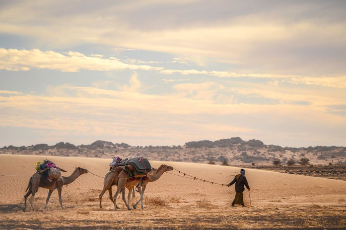 Mauritanie : six vols pour sauver la saison