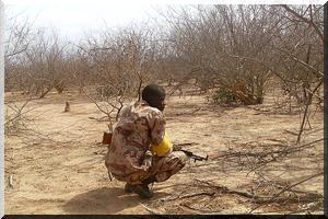 Des terroristes tués lors d'une tentative d'incursion en Mauritanie 