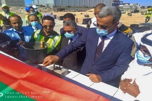 Nouadhibou : le gouvernement injecte 25 millions de dollars dans une usine de transformation du poisson